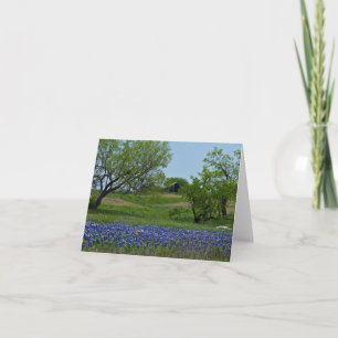 Cartão Bluebonnets and an Old Barn note card