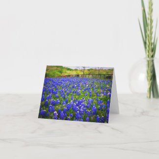 Cartão Bluebonnets de Texas