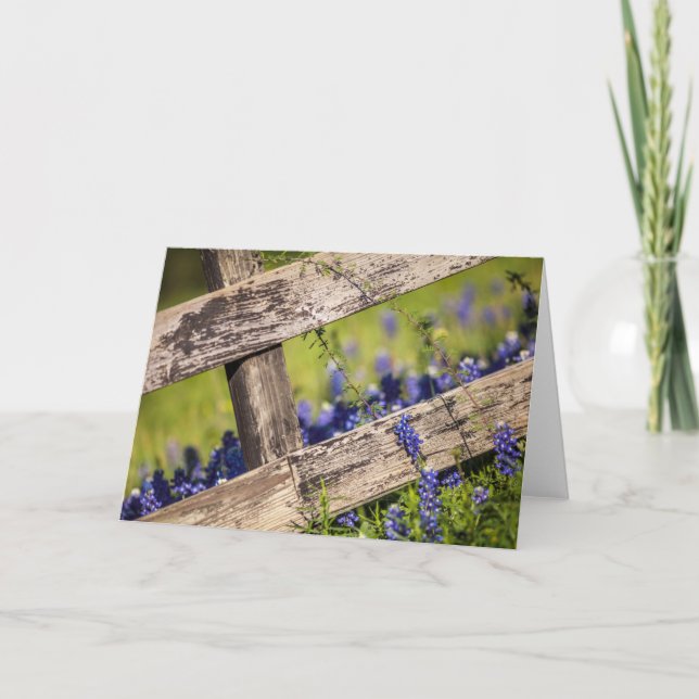 Cartão Bluebonnets de Texas em torno de uma cerca do país (Frente)