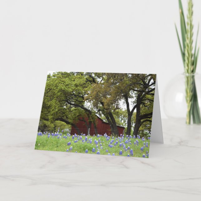 Cartão Bluebonnets do primavera em Johnson City, Texas (Frente)