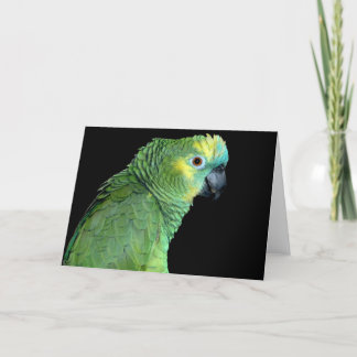 Cartão Bluefront Amazon Parrot Notecard