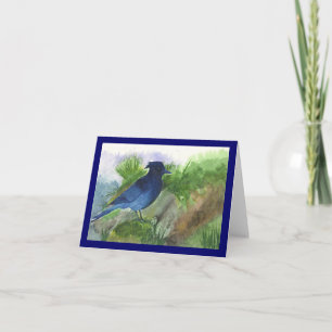 Cartão Bluejay In the Muskeg