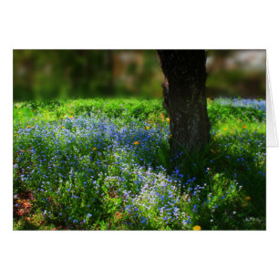 Cartão Bluets à luz do sol