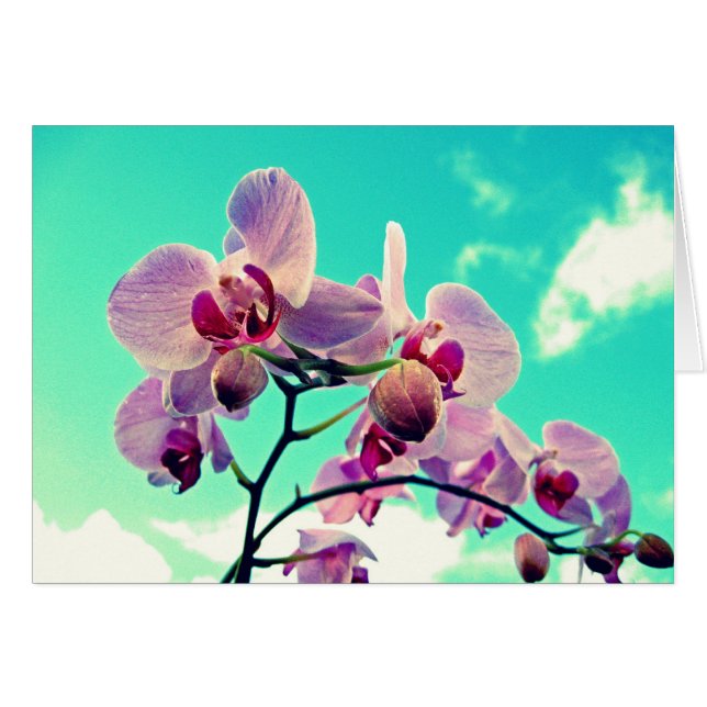 Cartão Blumen (Frente Horizontal)