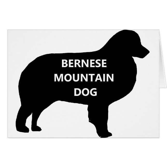 Cartão BMD name silhouette.png (Frente horizontal)