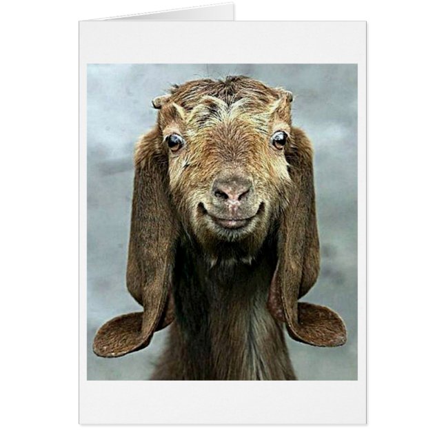 CARTÃO BOA BOCA DIZ QUE VOCÊ "50" PARECE "BOM PARA VOCÊ!" (Frente)