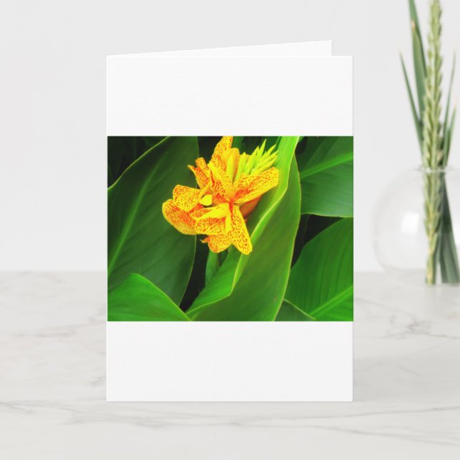 Cartão Boa noite! (Frente)