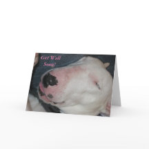 Boa Noite, Durma Bem, Cachorro Bobo-Recupere-se Lo