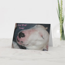 Cartão Boa Noite, Durma Bem, Cachorro Bobo-Recupere-se Lo
