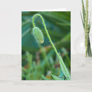 Cartão Boa Sorte Em Novos Começos Fotografia De Pappy Bud