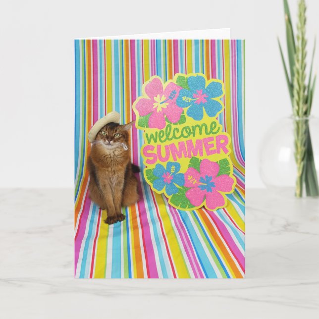 Cartão Boas-vindas ao Verão, o Gato Somali (Frente)
