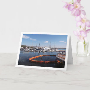 Cartão Boat Harbor em Paphos, Chipre