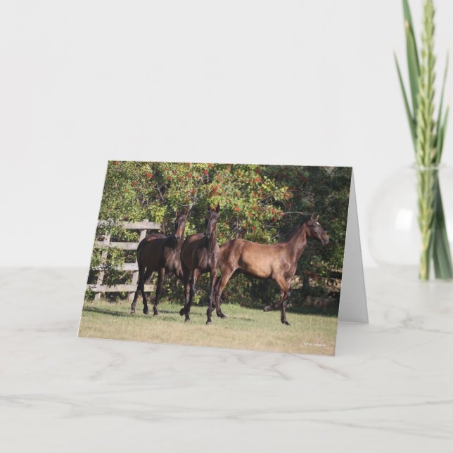 Cartão Bob Langrish | 3 Andalucian Youngsters Standing (Frente)