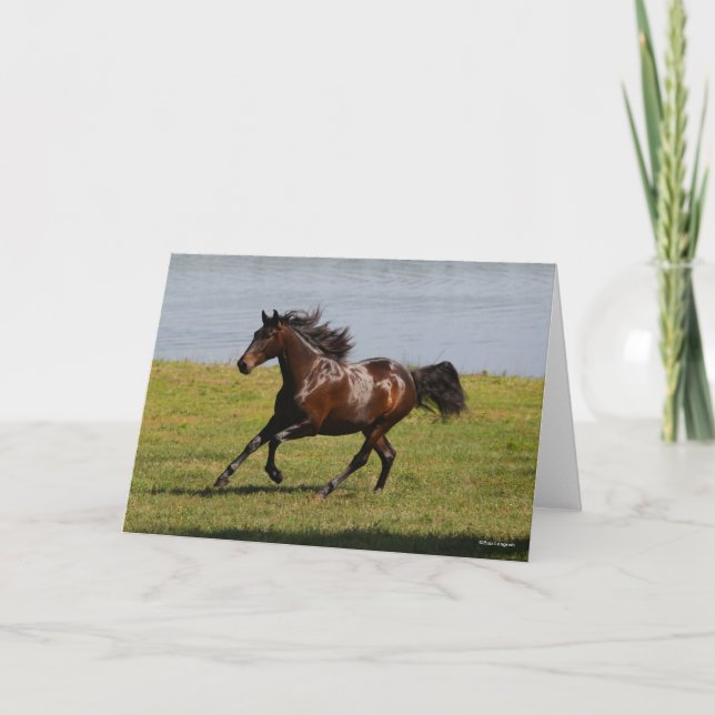 Cartão Bob Langrish | Baía Lusitano Mare Perto Do Lago (Frente)