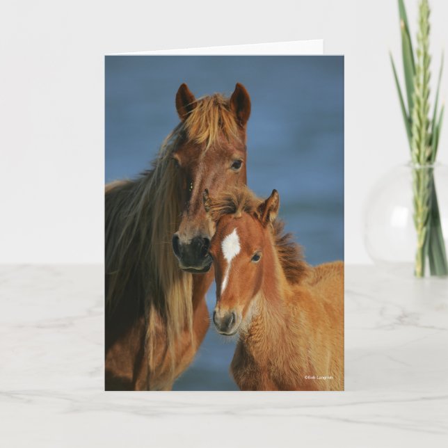 Cartão Bob Langrish | Baker Pony Mare and Foal headshot (Frente)