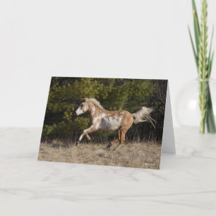 Cartão Bob Langrish Bashkir Curly Stallion Running