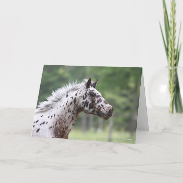 Cartão Bob Langrish | Captura de Cabeça de Captura (Frente)