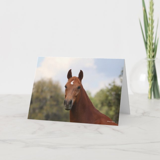 Cartão Bob Langrish | Captura de cabeça de Chestnut Olden (Frente)