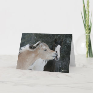 Cartão Bob Langrish   Captura De Cabeça De Dois Pontes R