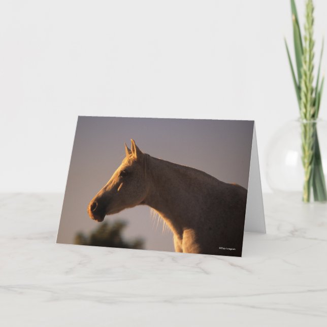 Cartão Bob Langrish | Captura de cabeça de fundo árabe de (Frente)