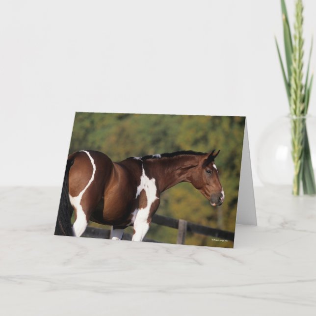 Cartão Bob Langrish | Captura De Cabeça De Pinto Warmbloo (Frente)