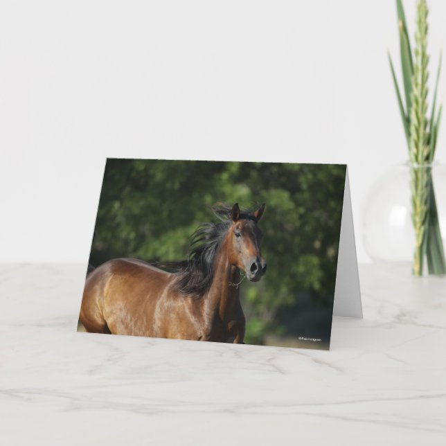 Cartão Bob Langrish | Captura de cabeça do quarto cavalo  (Frente)