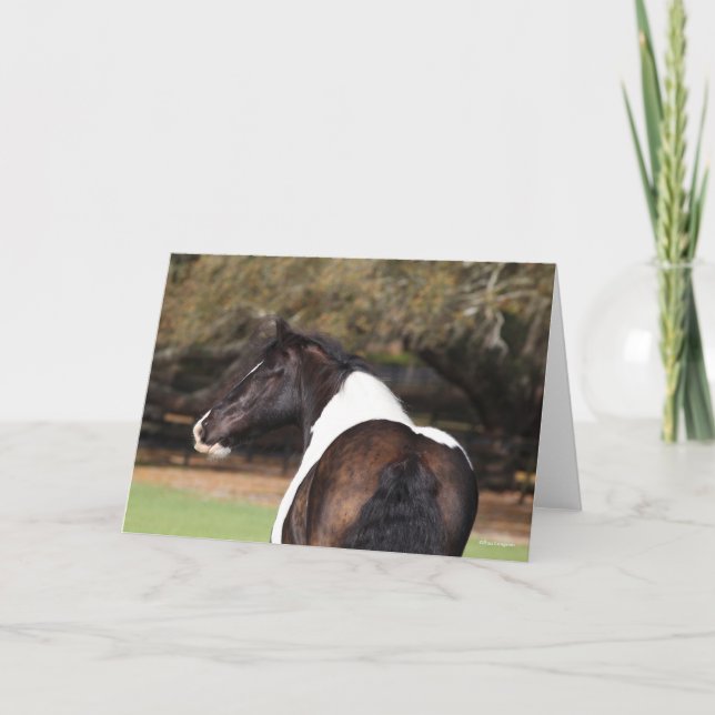 Cartão Bob Langrish | Captura de cabeça do Vanner Gypsy (Frente)