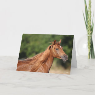 Cartão Bob Langrish Chestnut Arab Headshot Mane Flowe