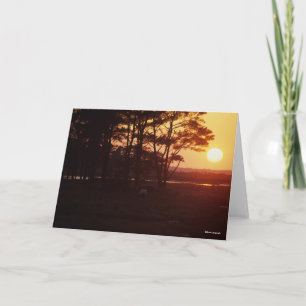 Cartão Bob Langrish Chincoteague Grazing Sunset