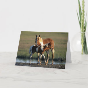 Cartão Bob Langrish Chincoteague Mare e Foal Permanente