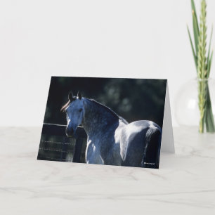 Cartão Bob Langrish Cinza de ananás com retroiluminação