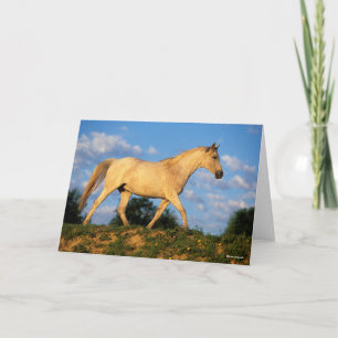 Cartão Bob Langrish   Cinzas árabes a andar