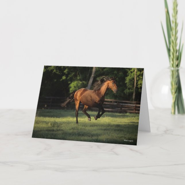 Cartão Bob Langrish | Corrente de cavalos da baía andaluc (Frente)