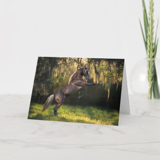 Cartão Bob Langrish | Criação de Cavalos de Montanha Roch (Frente)