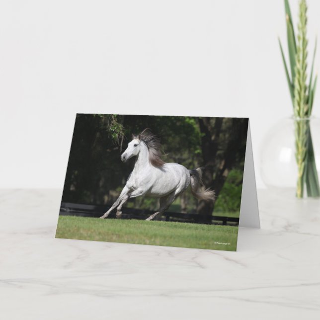 Cartão Bob Langrish | Dapple Grey Andalucian Running (Frente)