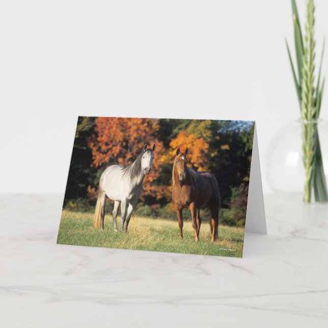 Cartão Bob Langrish Dois Árabes em campo (Frente)