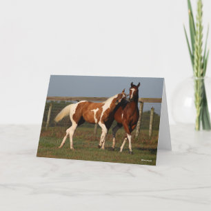 Cartão Bob Langrish Dois Cavalos De Tintas A Brincar Ju