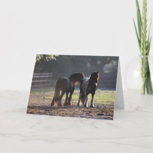 Cartão Bob Langrish   Dois Vanners De Cigarro Em retroilu