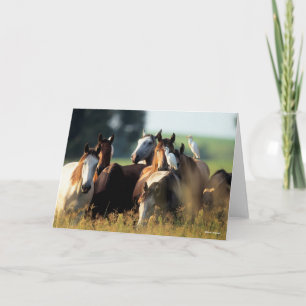 Cartão Bob Langrish Efetivos De Cavalos Com Aves