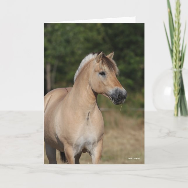 Cartão Bob Langrish | Fjord Horse Standing Headshot (Frente)