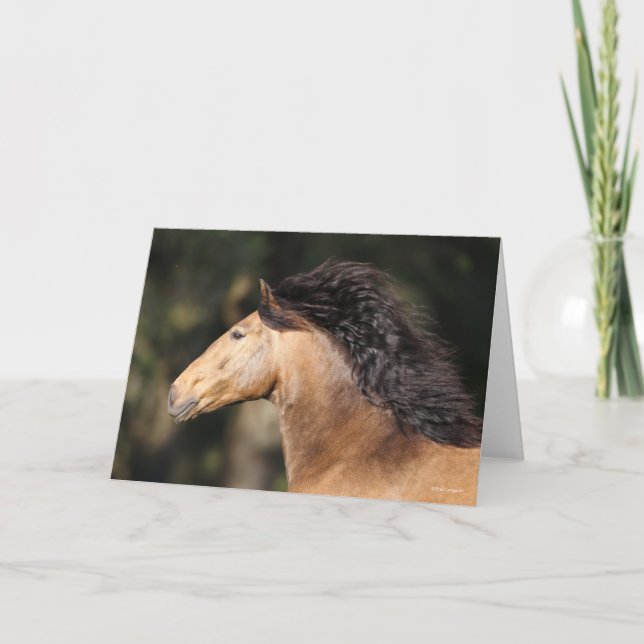 Cartão Bob Langrish | Fluxo de Manchas com Captura de Lus (Frente)