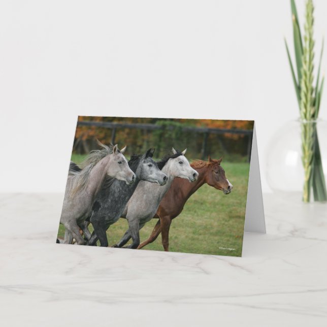 Cartão Bob Langrish | Four Arab Horses Racing Headshot (Frente)