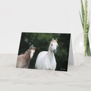 Cartão Bob Langrish Galês Pony Mare e Foal