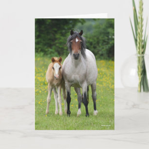 Cartão Bob Langrish   Galês Pony Mare e Foal Standby
