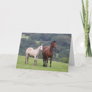 Cartão Bob Langrish Galês Pony Mare e Foal Standby
