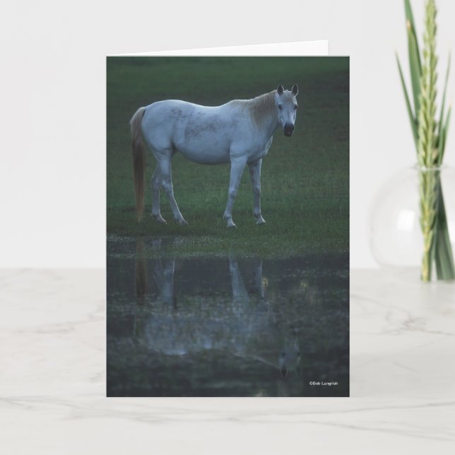 Cartão Bob Langrish Grey Arab Standing By Pond Reflection (Frente)