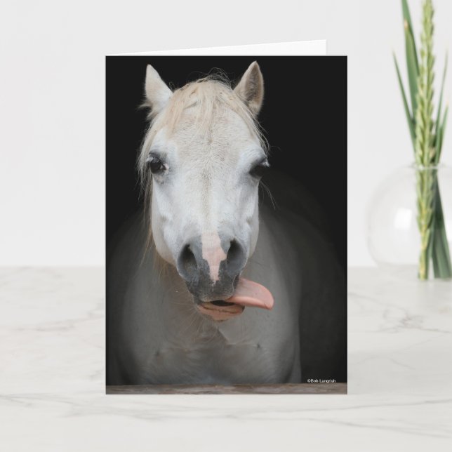 Cartão Bob Langrish | Grey Welsh Pony Tongue Out Headshot (Frente)