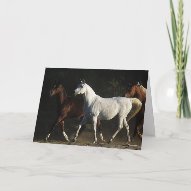 Cartão Bob Langrish | Marcha árabe de Herd (Frente)