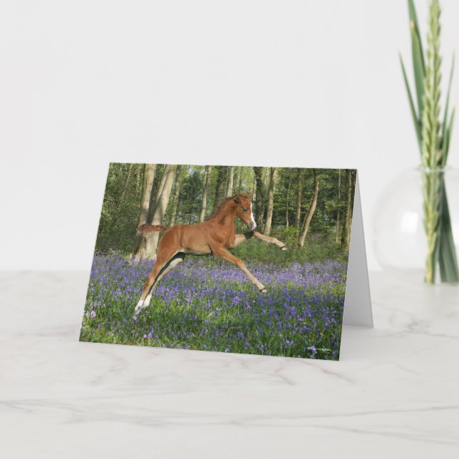 Cartão Bob Langrish | Morgan Foal Leaping With Bluebells (Frente)