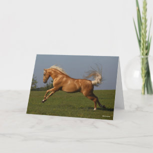 Cartão Bob Langrish Palomino Lusitano — Leapão